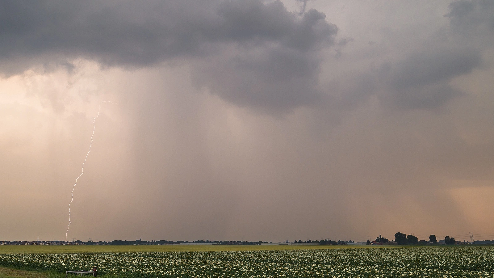 В Башкортостане семь лошадей погибли от удара молнии