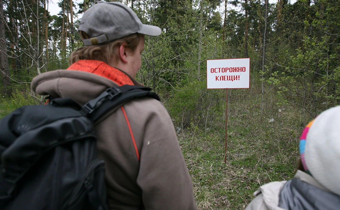 Павел Лисицын / РИА Новости