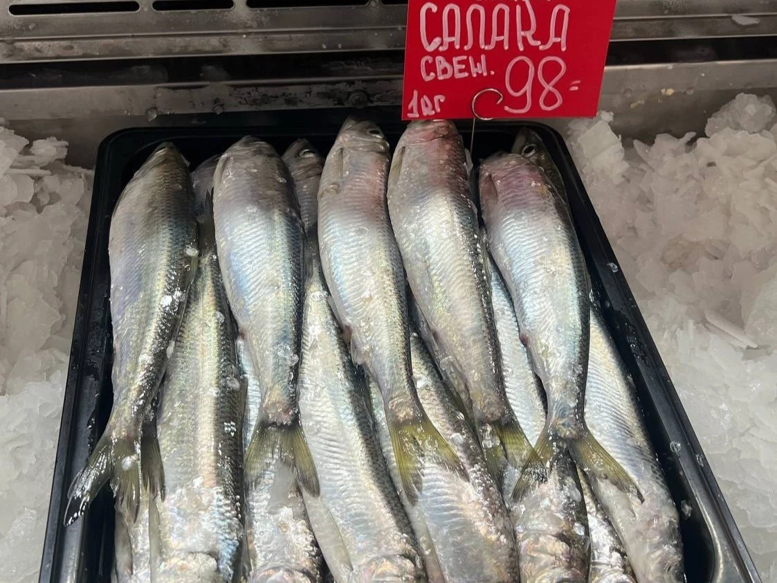 региональное агентство по рыболовству