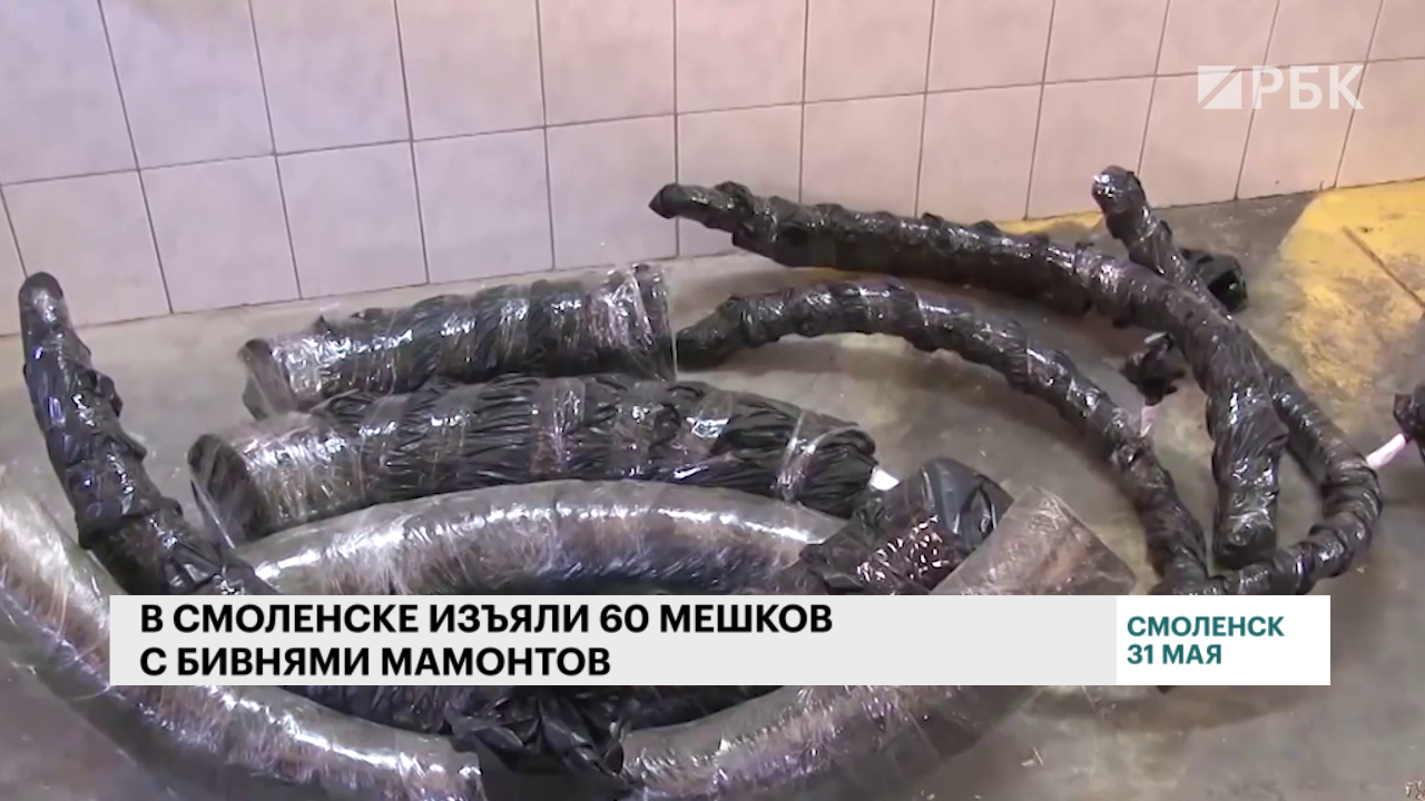 МВД не дало вывезти в Белоруссию 60 мешков с бивнями мамонта