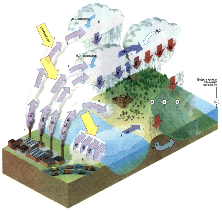 Образование кислотных дождей