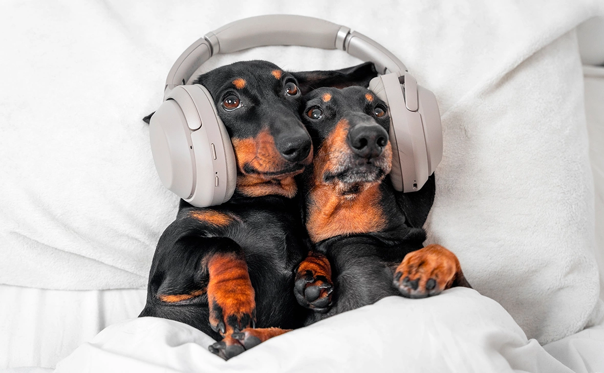 Masarik / Shutterstock