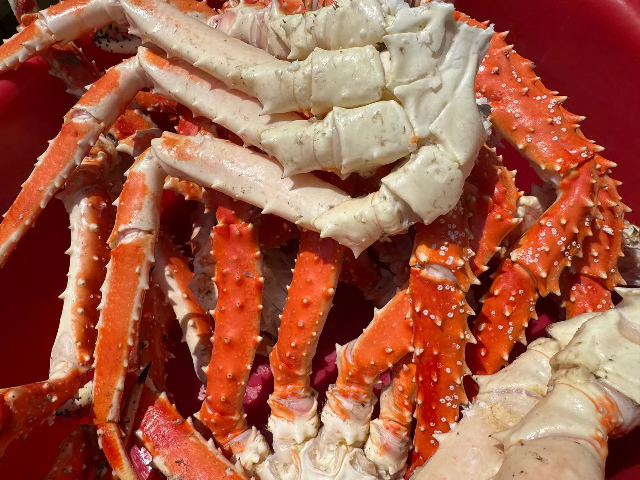 РБК Приморье