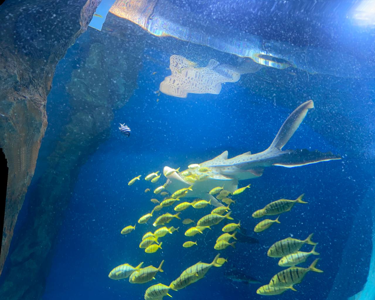 Фото: Марина Маркевич