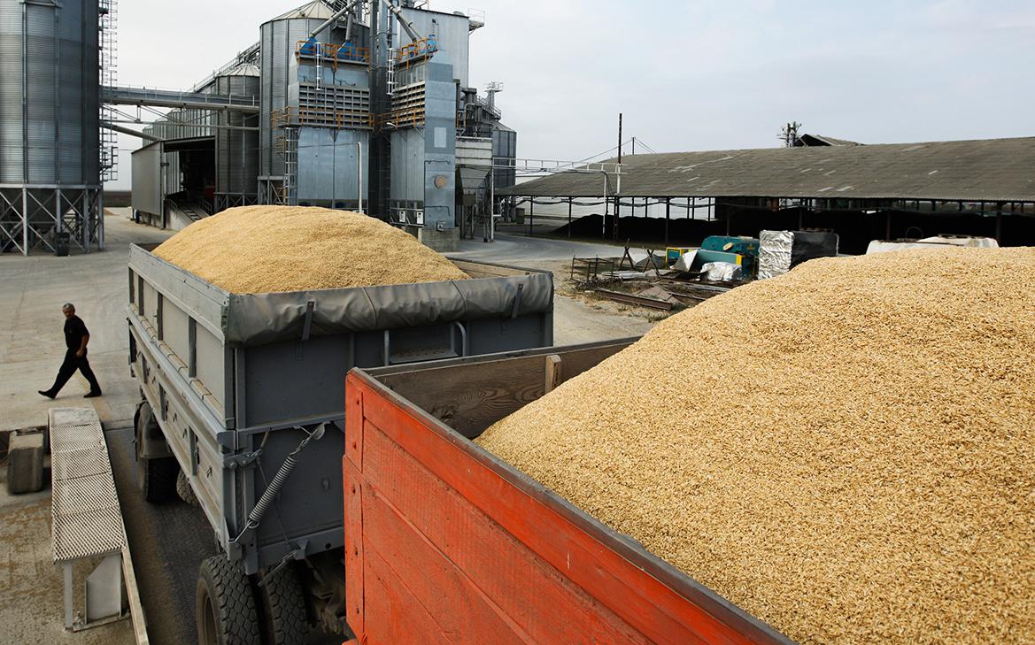 Экспорт каких товаров из России вырастет сильнее всего. Инфографика