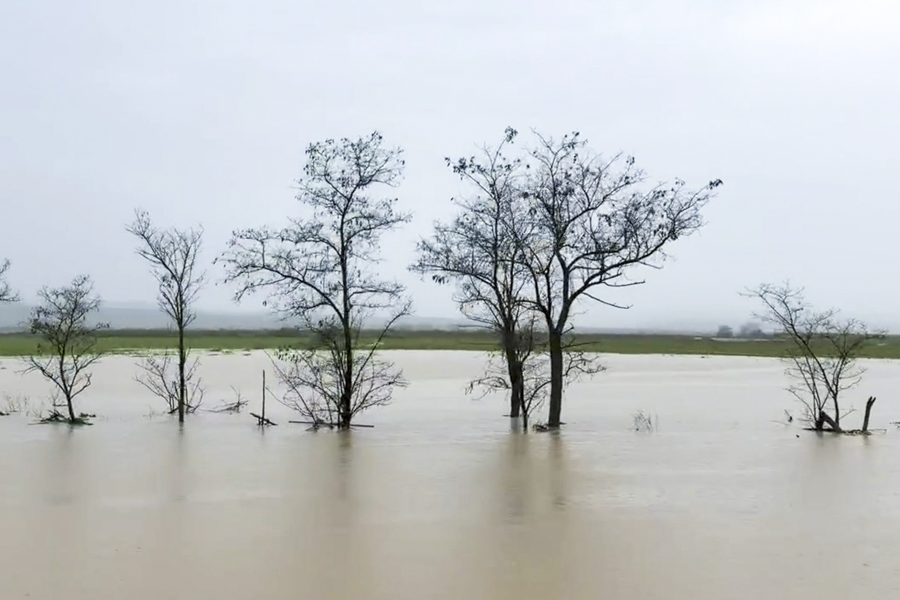 Гянжеви Гаджибалаев / ТАСС