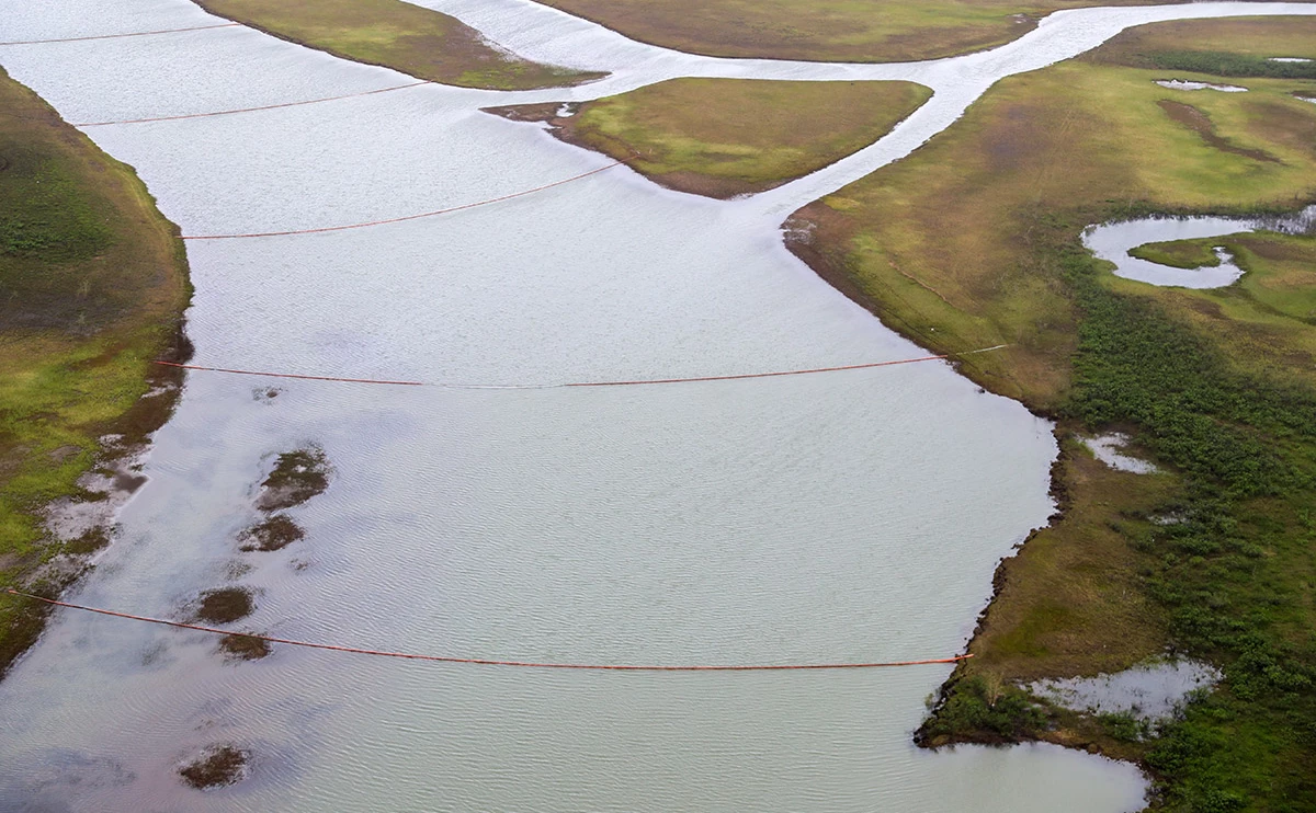 Кирилл Кухмарь / ТАСС