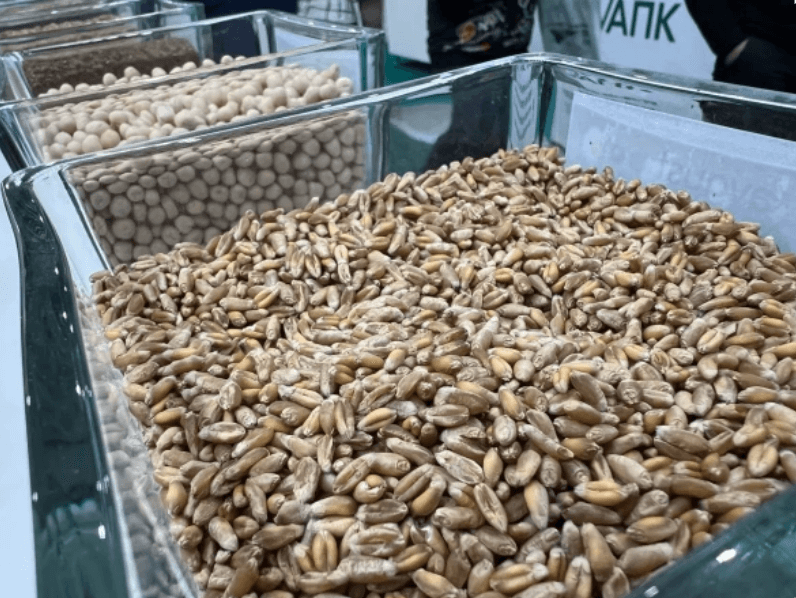 РБК Татарстан