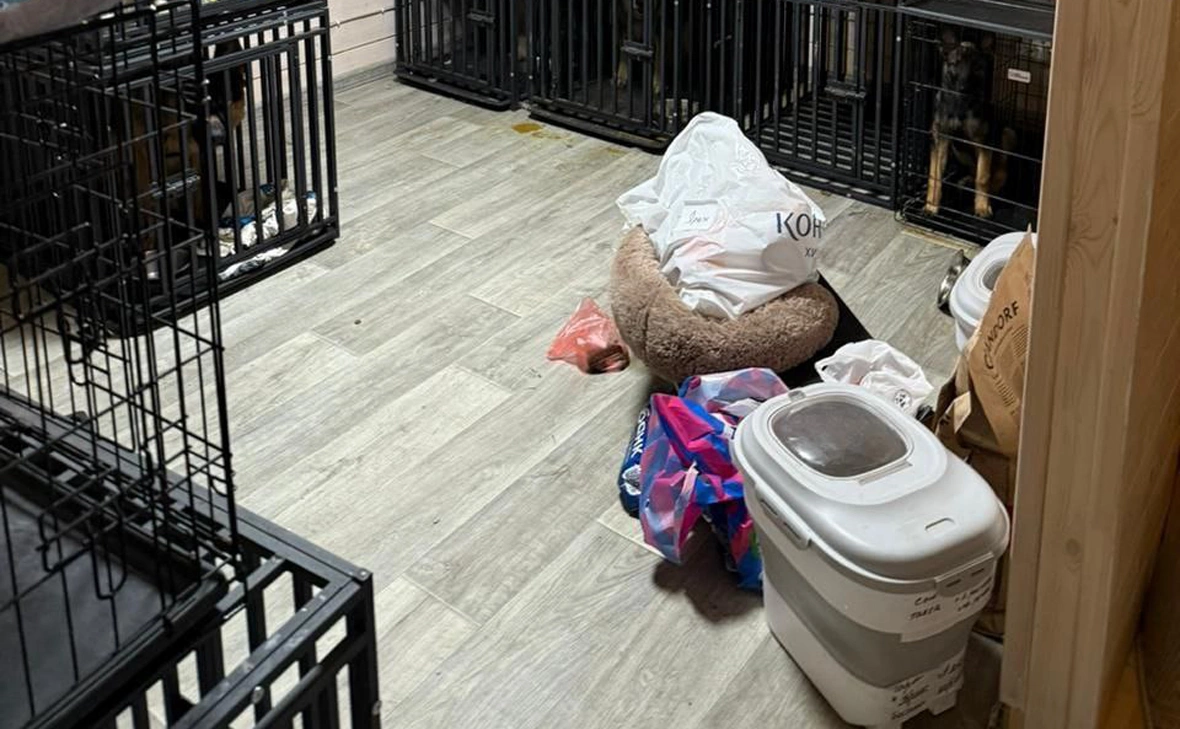 Прокуратура Московской области