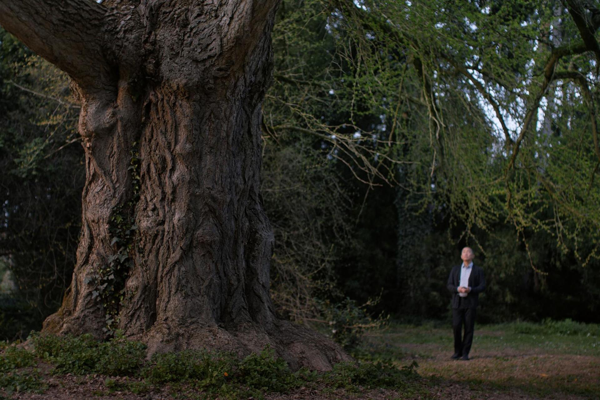 Кадр из фильма &laquo;Молчаливый друг&raquo;