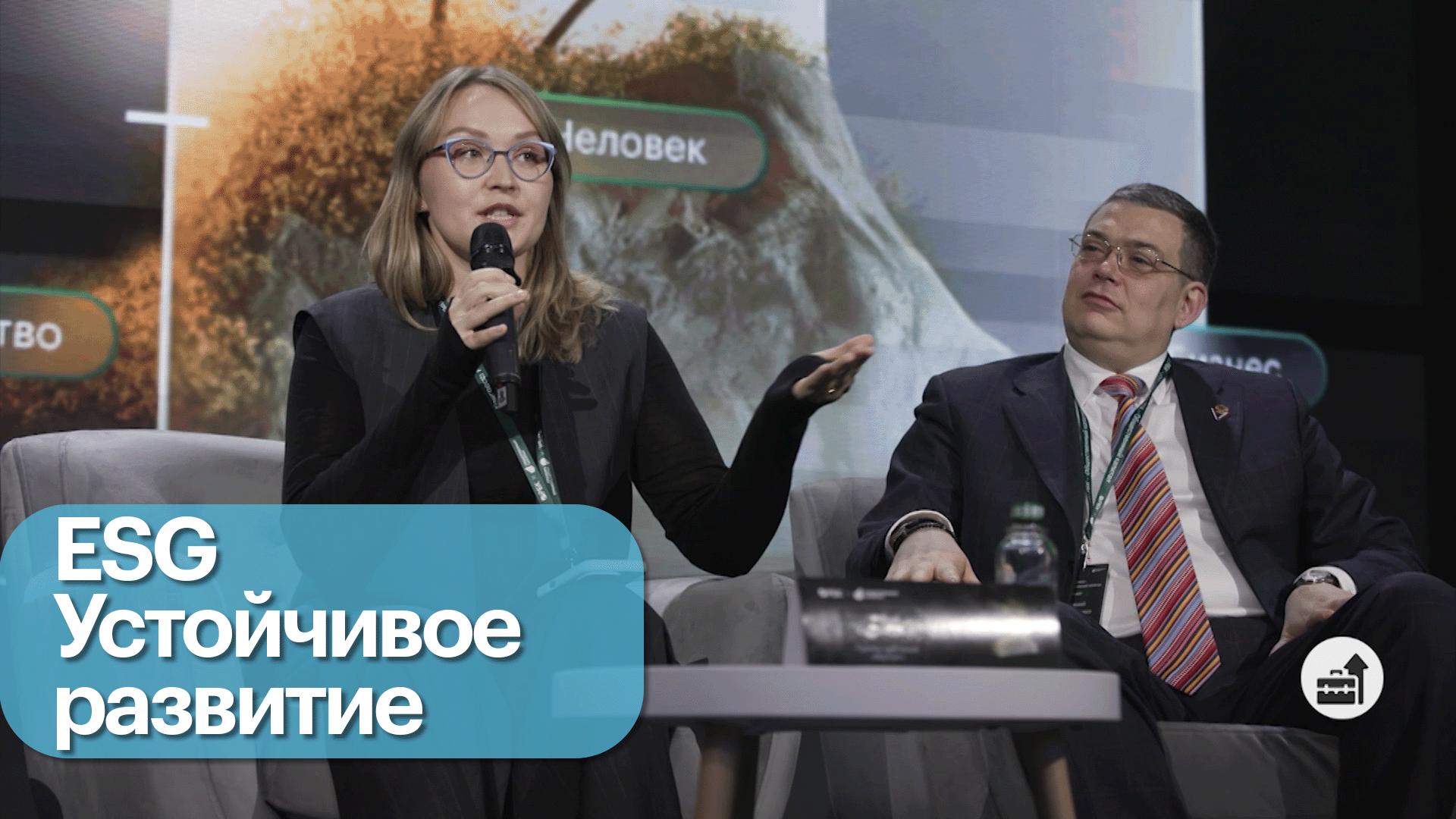 Стратегии в области устойчивого развития