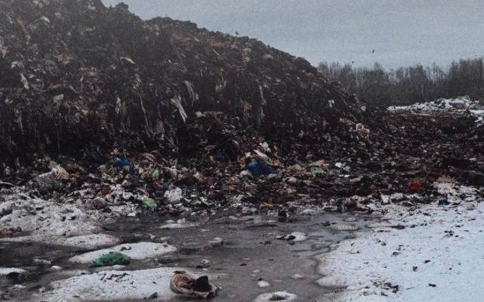 Фото: Федеральная служба по надзору в сфере природопользования