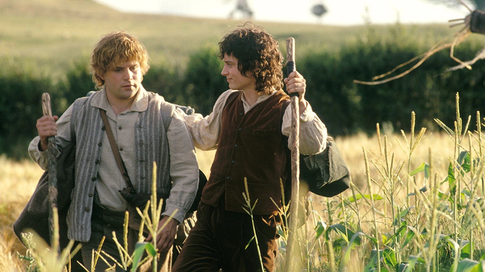 Кадр из фильма «Властелин колец: Братство Кольца» (2001)