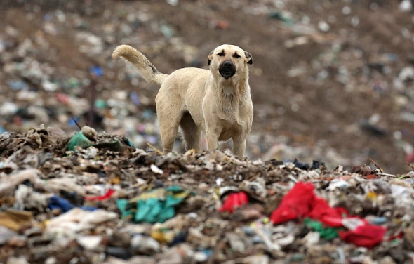 Светлана Холявчук/Интерпресс
