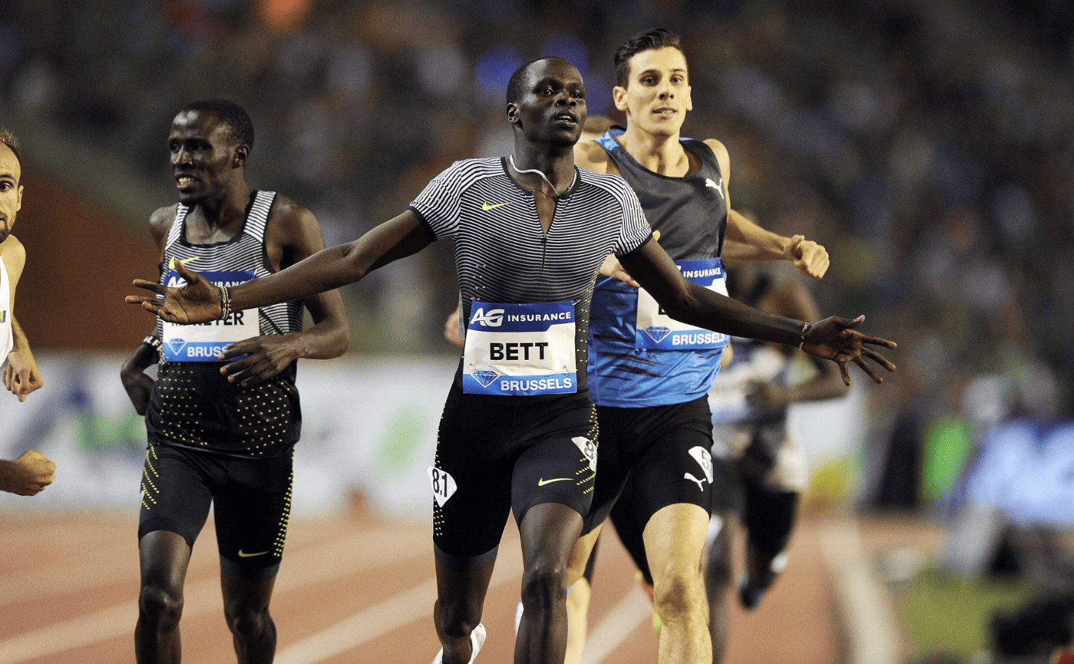 Panoramic / Global look press