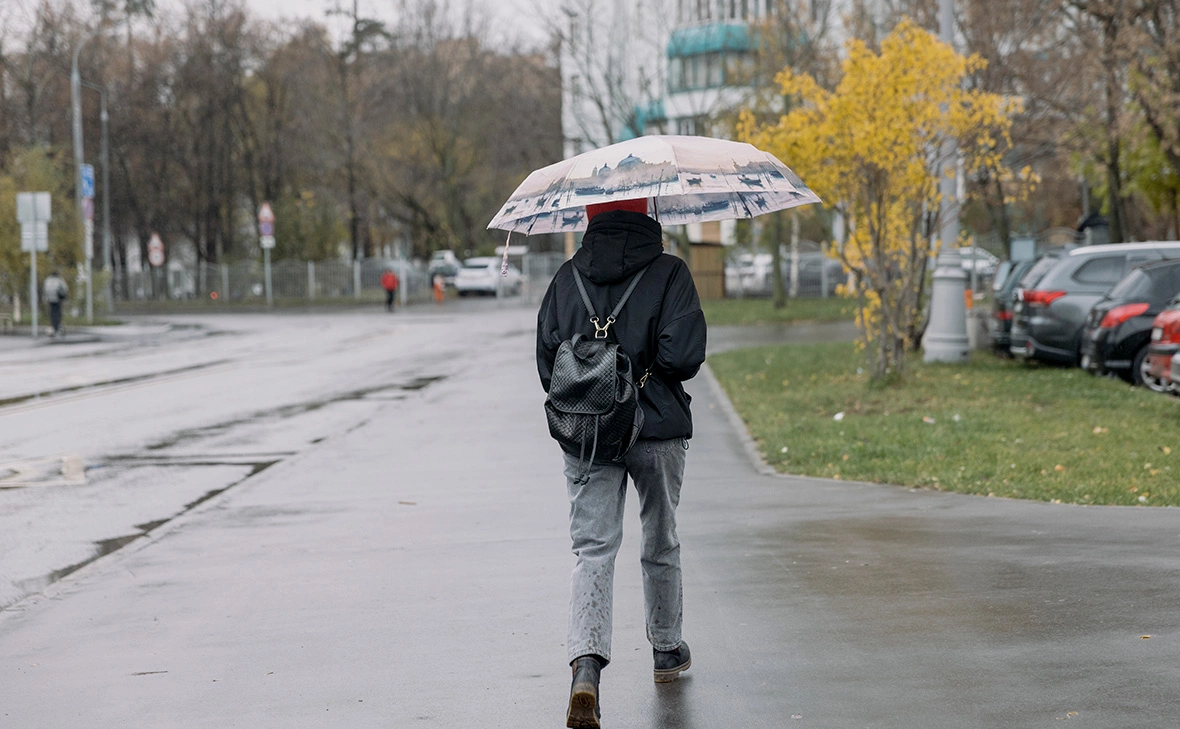 Михаил Гребенщиков / РБК
