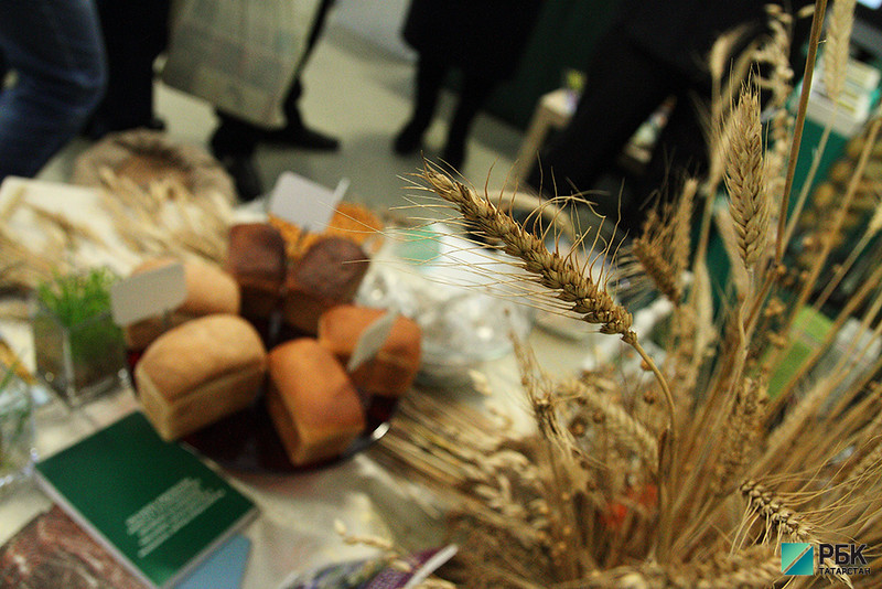 В Татарстане рассчитывают на 5% увеличить объем продукции растениеводства