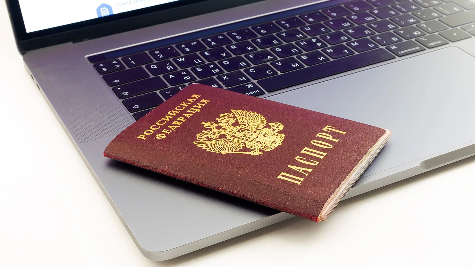 В ГД напомнили о возможности поставить дополнительные отметки в паспорте