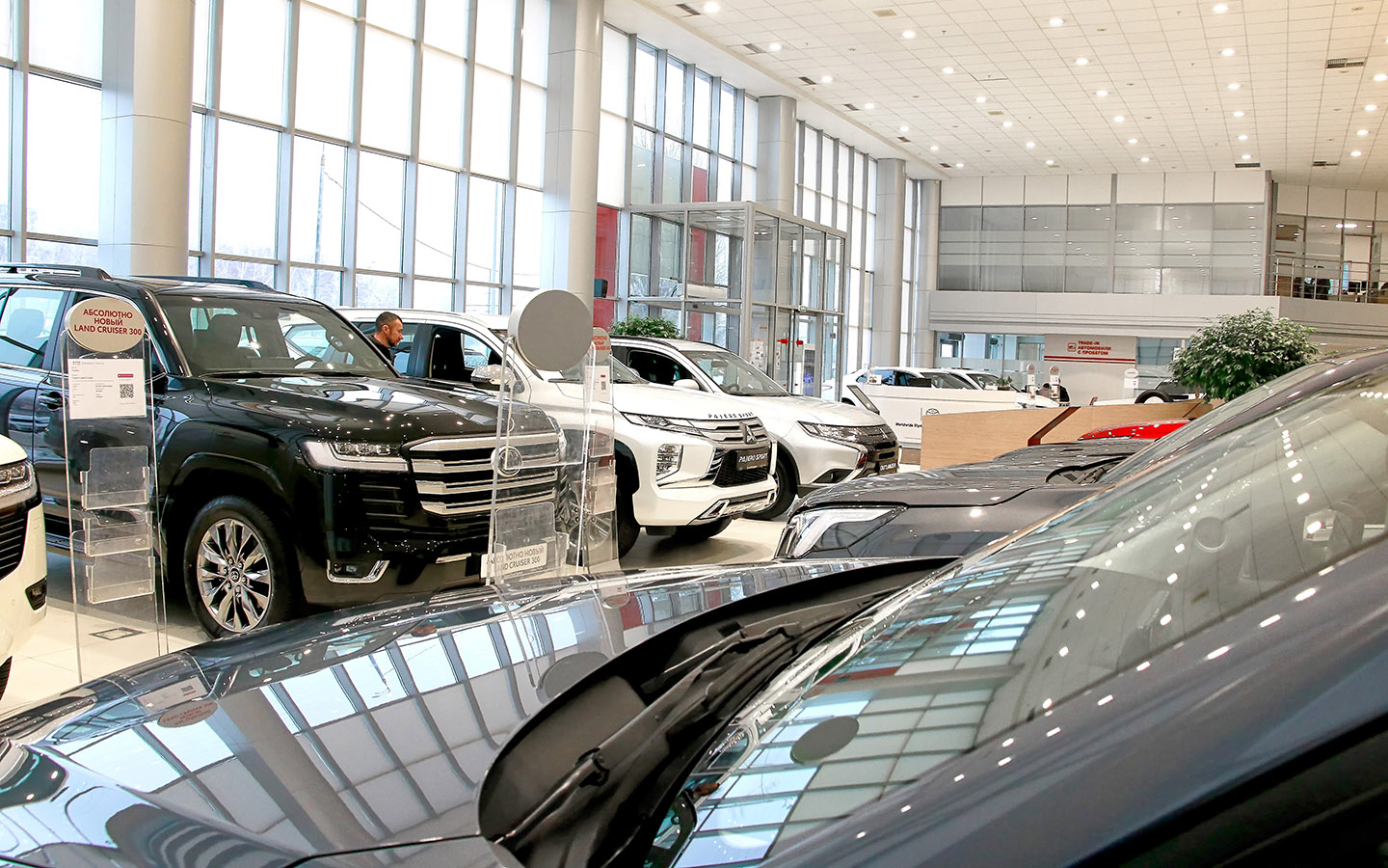 Фото: KELENY / Shutterstock / FOTODOM