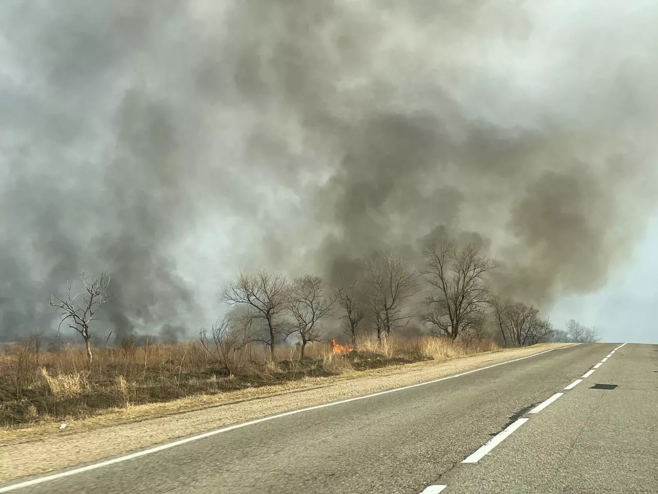 РБК Приморье