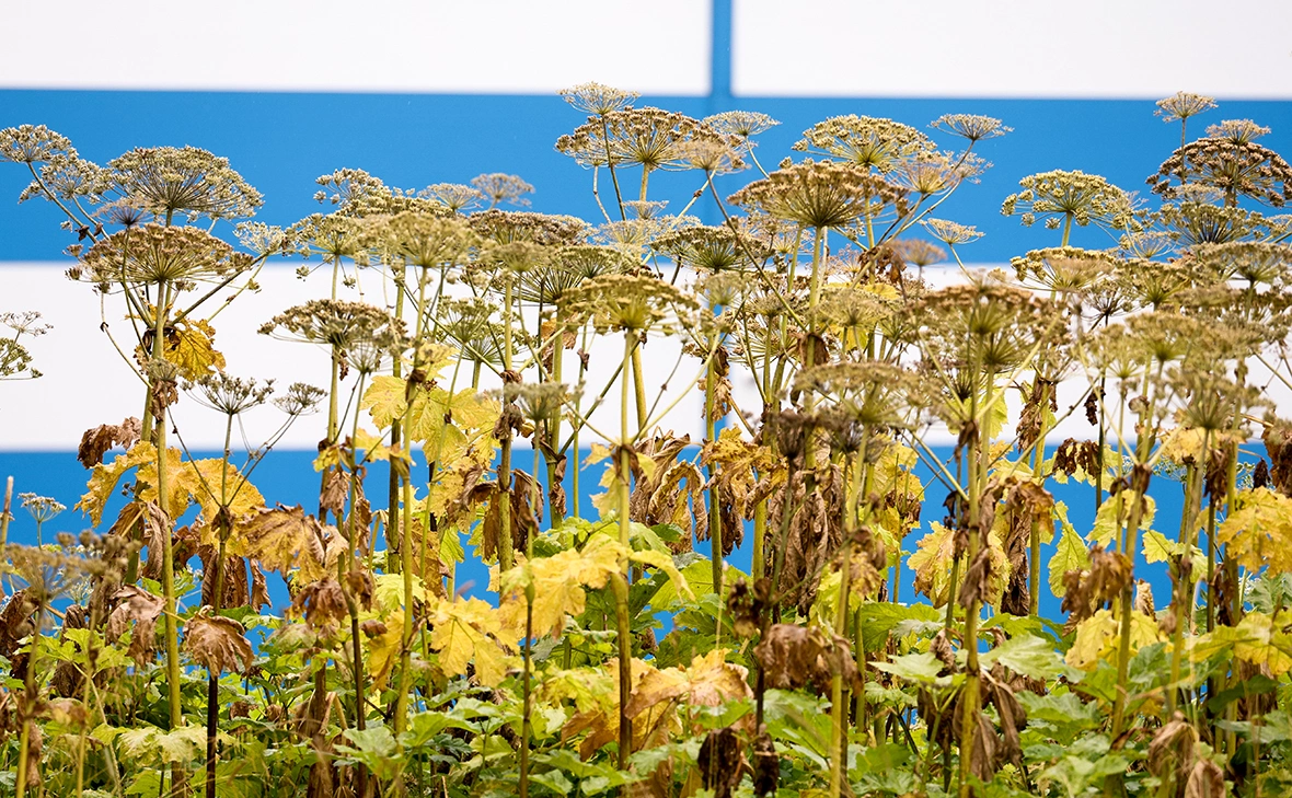 Сергей Петров / NEWS.ru / РБК