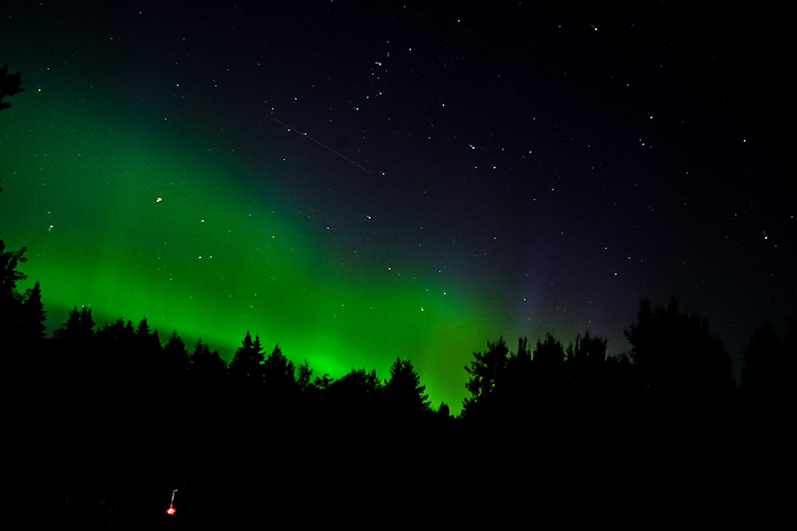 Пупышево,&nbsp;Ленинградская область