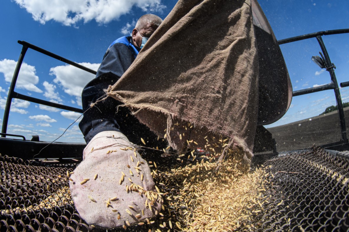 Фото: Владимир Жабриков / URA.RU