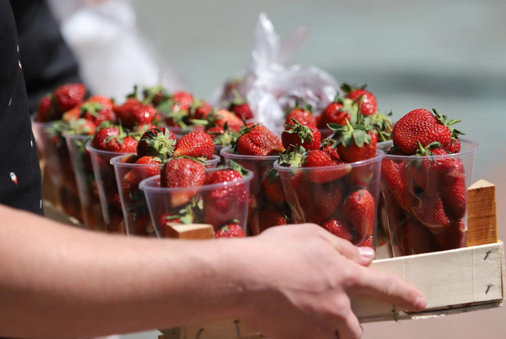 Екатерина Сычкова / URA.RU 