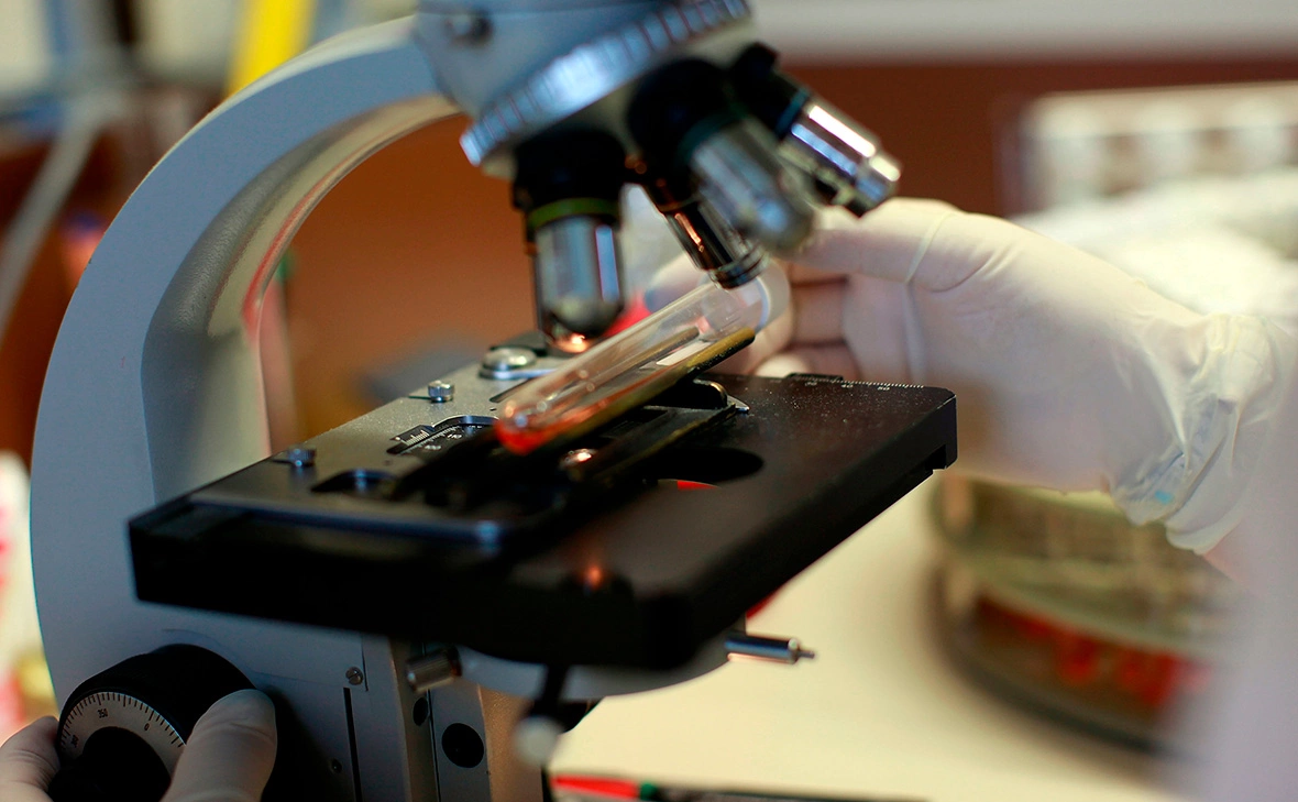 Carsten Koall / Getty Images