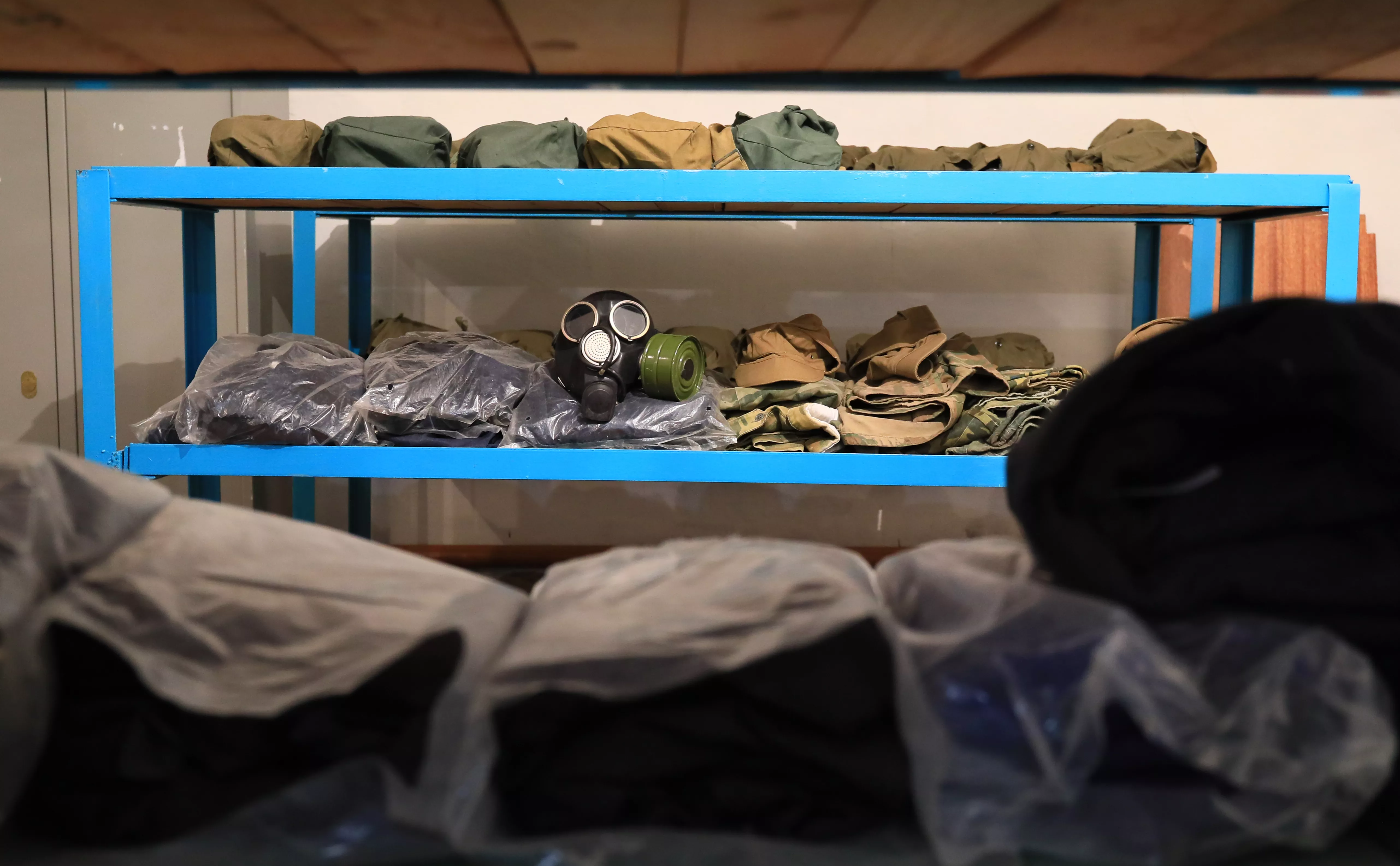 Андрей Самсонов / ТАСС