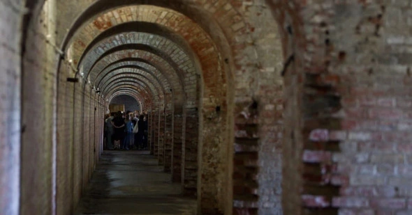 Александр Подгорчук