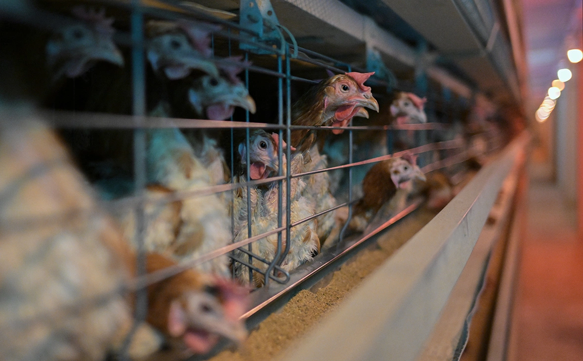 Александр Кряжев / РИА Новости