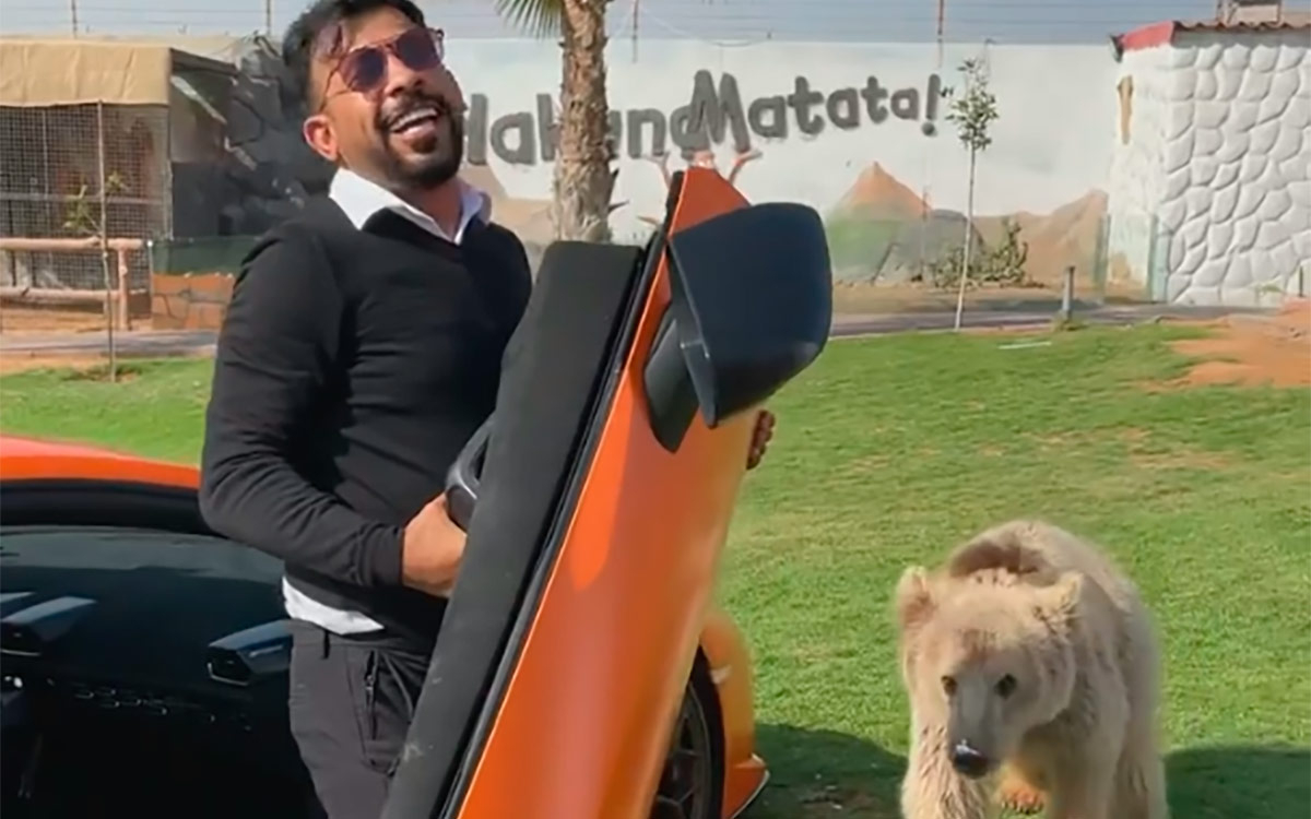 Медведь оторвал дверь у Lamborghini арабского шейха. Видео :: Autonews