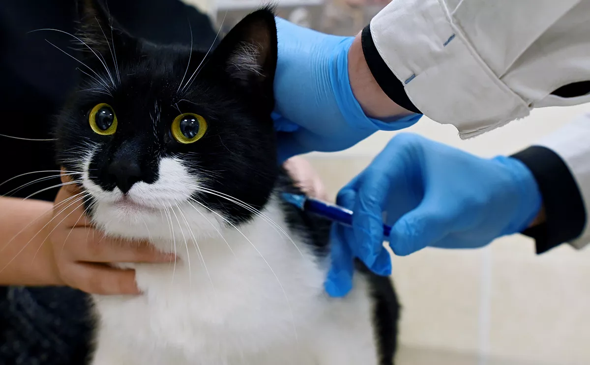 Павел Бедняков /  РИА Новости