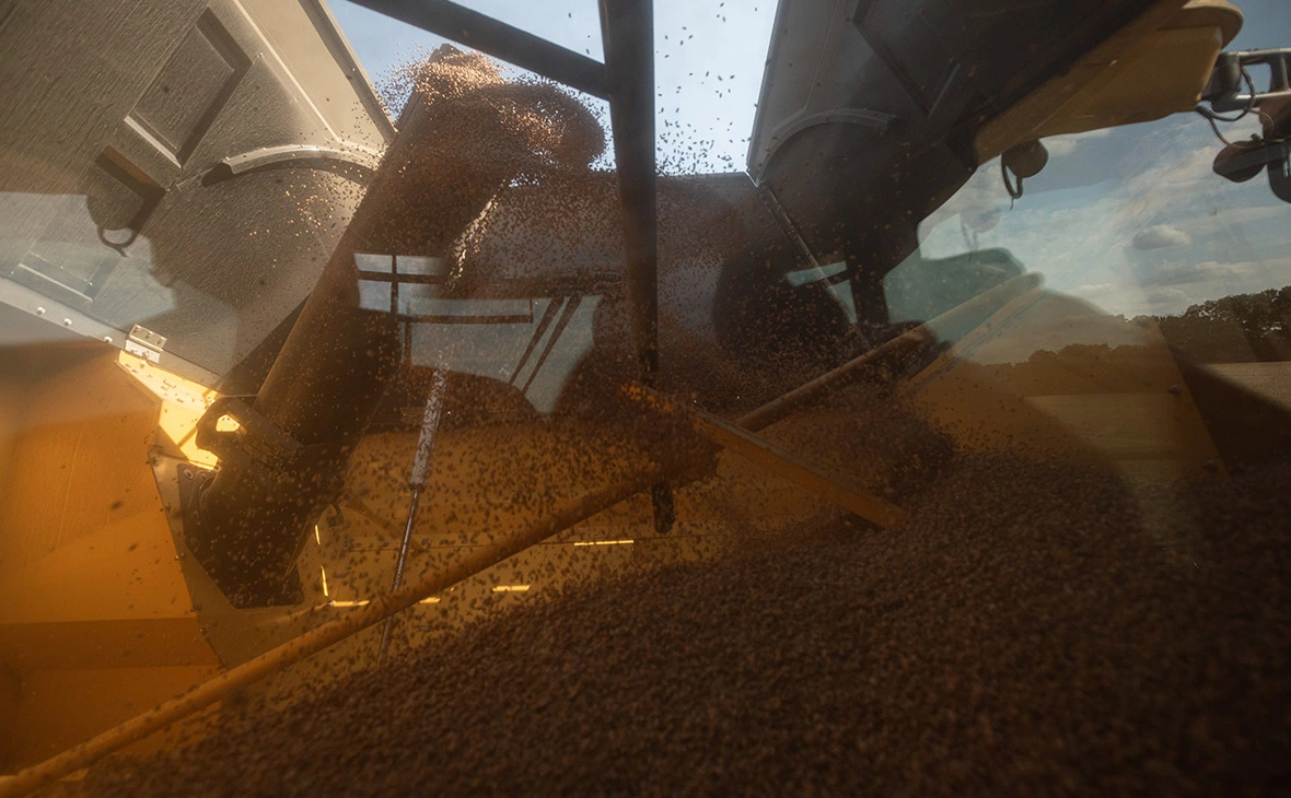 Алексей Фурман / Getty Images