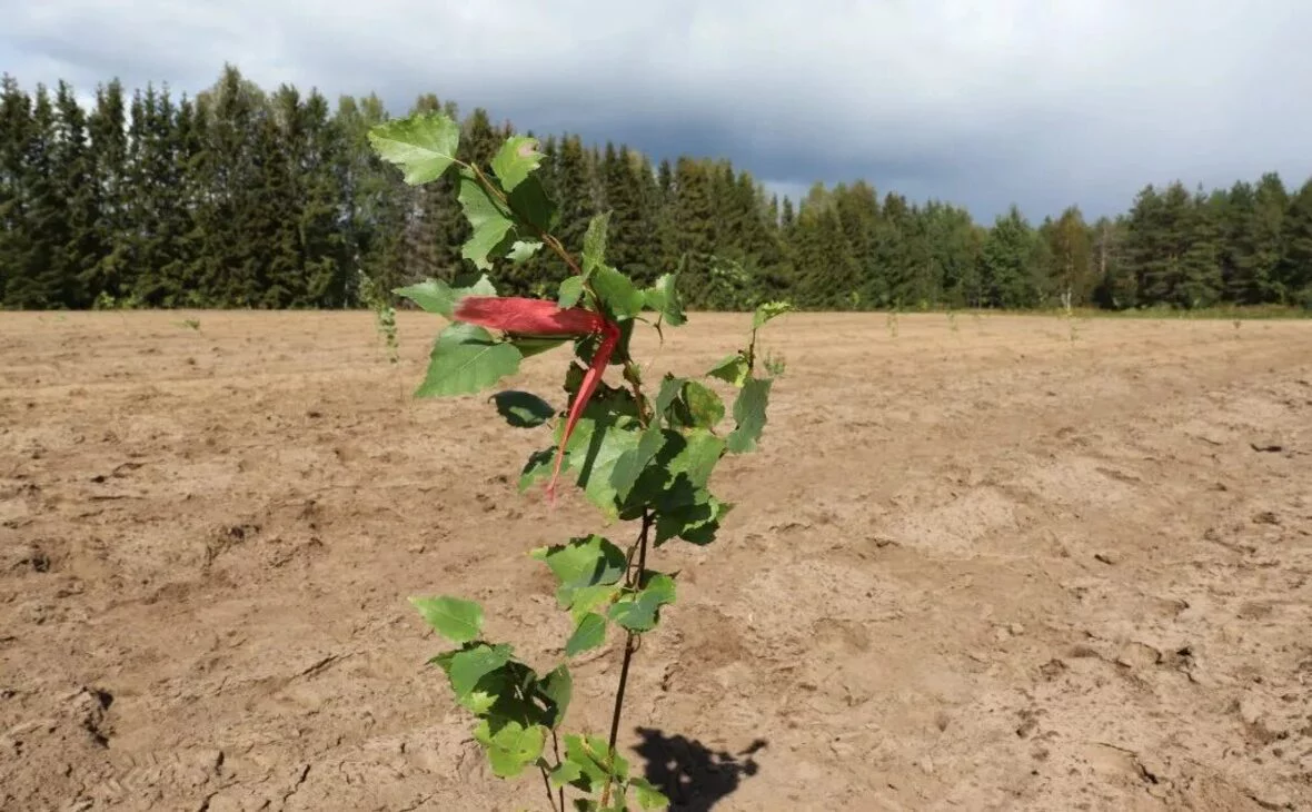 gov.karelia.ru