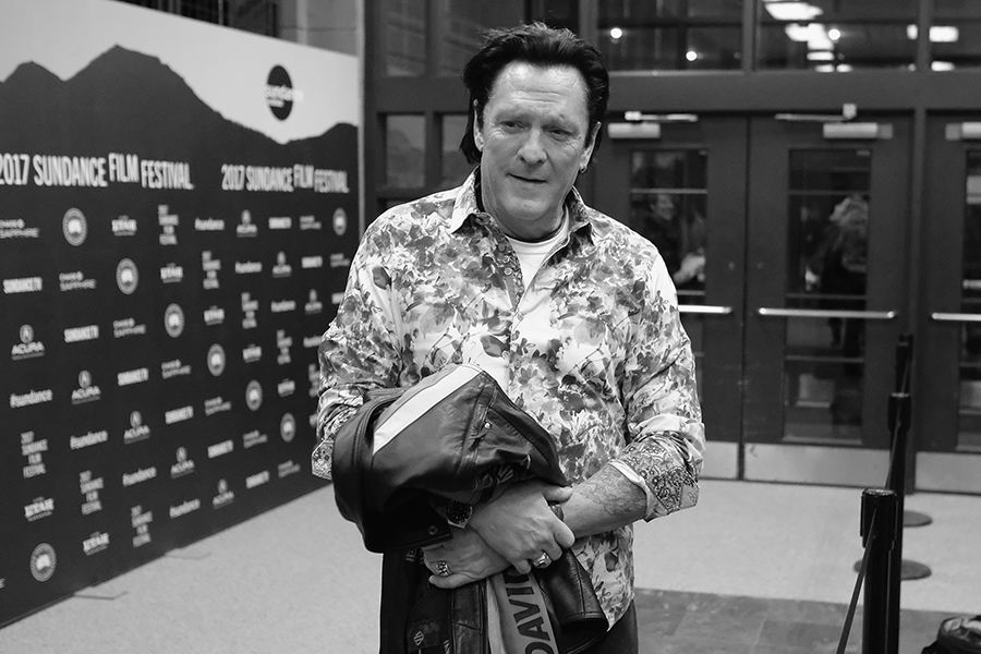 Мэдсен снялся более чем в 170 картинах, но наибольшую известность приобрел благодаря фильмам &laquo;Бешеные псы&raquo;, &laquo;Донни Браско&raquo;, &laquo;Убить Билла&raquo;, &laquo;Город грехов&raquo;, &laquo;Омерзительная восьмерка&raquo; и &laquo;Однажды в Голливуде&raquo;.

Перед тем&nbsp;как стать актером, Мэдсен работал на заправке, был маляром, автомехаником, санитаром скорой помощи. Его актерский талант раскрыл режиссер Мартин Брест. Впоследствии Мэдсен стал любимчиком Квентина Тарантино. Режиссер снял его в дебютной полнометражной картине &laquo;Бешеные псы&raquo;, в которой Мэдсен сыграл мистера Блондина.

Помимо актерской деятельности, Мэдсен увлекался поэзией. Он выпустил восемь поэтических сборников, а за один из них (Burning in Paradise) получил литературную премию Firecracker Award, которая присуждается в США за достижения в независимом издательстве.