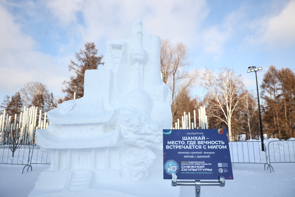 Фото: Ростислав Нетисов / nsknews.info