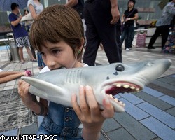 Жители Приморья скупают снасти для ловли акул