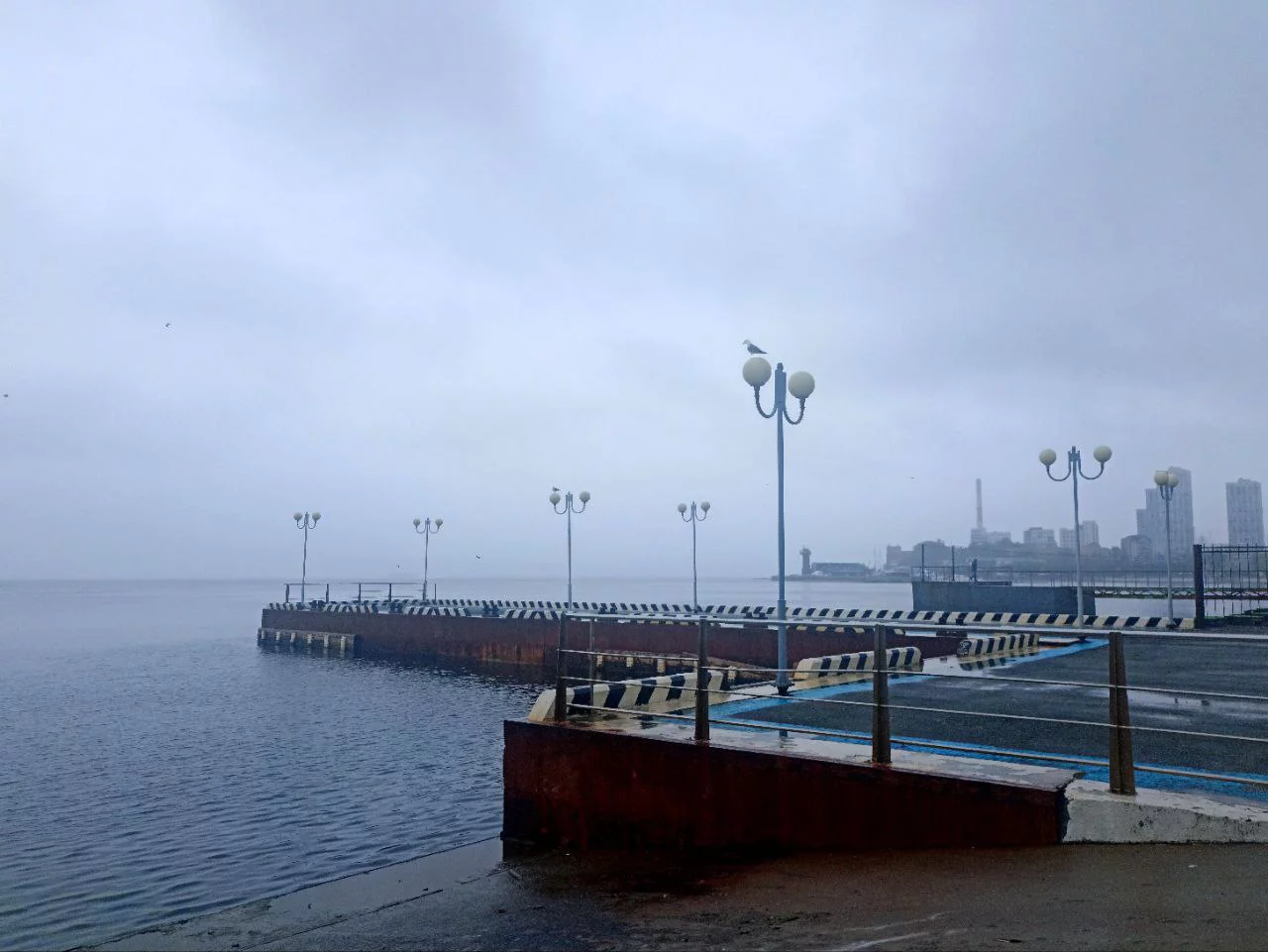 РБК Приморье