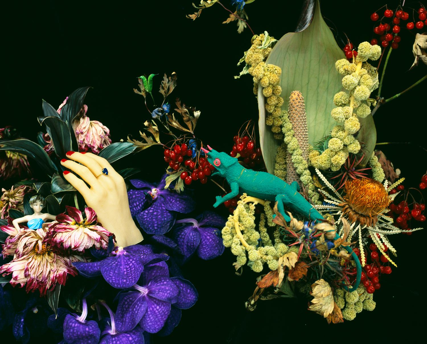 Araki Nobuyoshi, Monstrous Paradise series, Ruarts Gallery