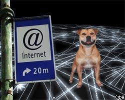 В Интернете найдется все – даже пропавшая собака