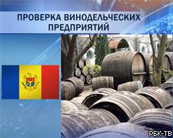 Молдавских виноделов проверят на соответствие мировым стандартам