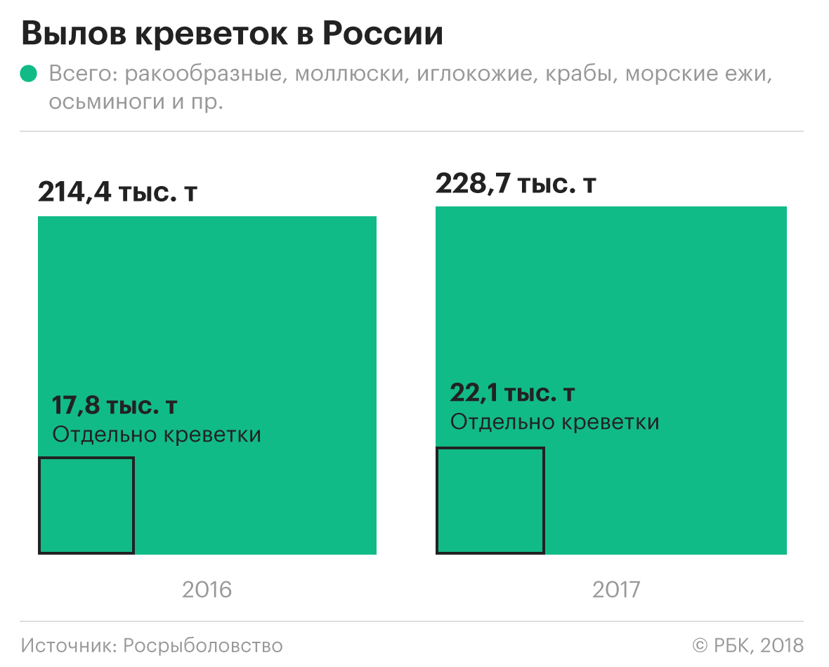 Устрицы на вырост: почему их производство в России выросло в 265 раз