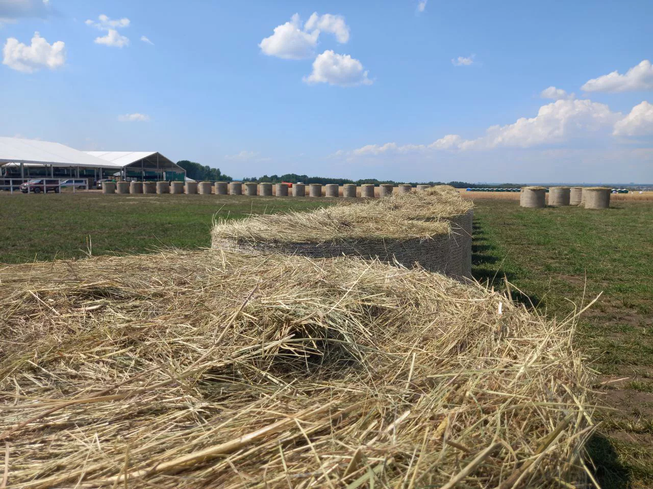 РБК Татарстан Млада Матафонова