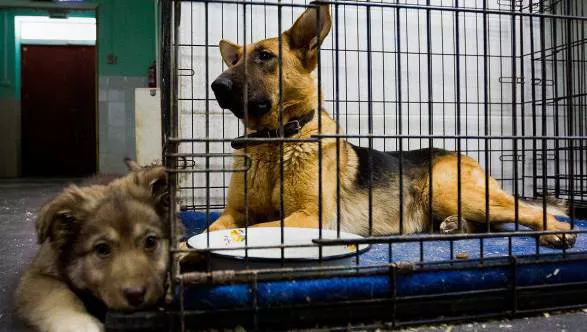 Кирилл Зыков/АГН «Москва»