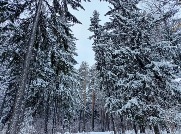 Фото: Сабрина Сафина