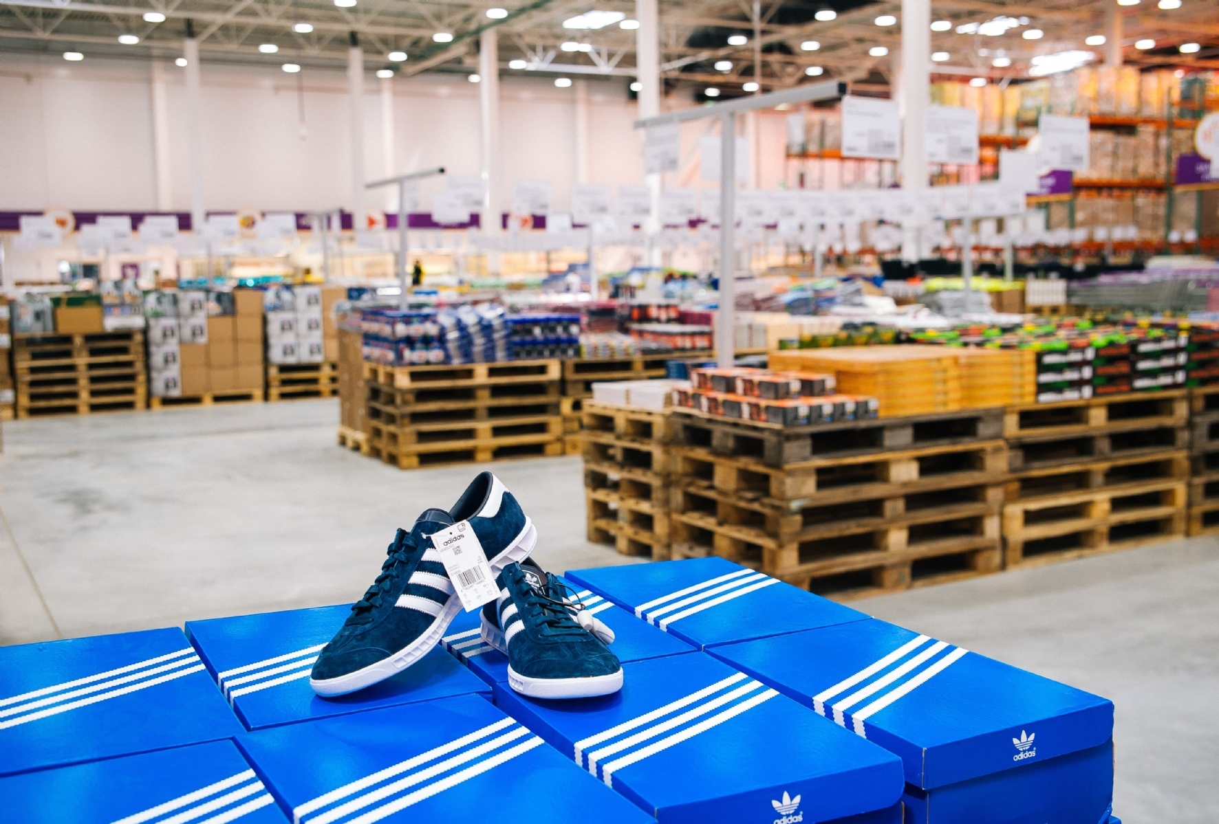 Фото: PhotoXPress.ru