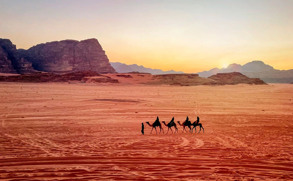 Antonio Gravante / Shutterstock