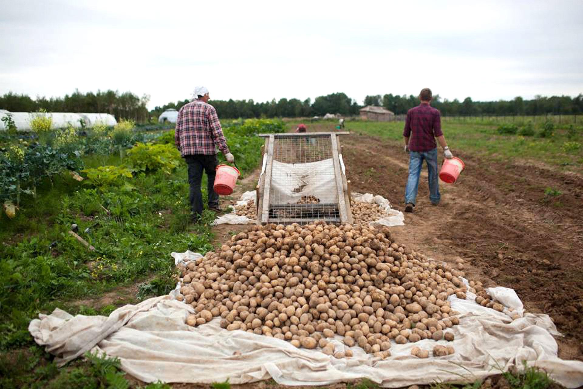 Ферма &laquo;Никола-Ленивец&raquo;